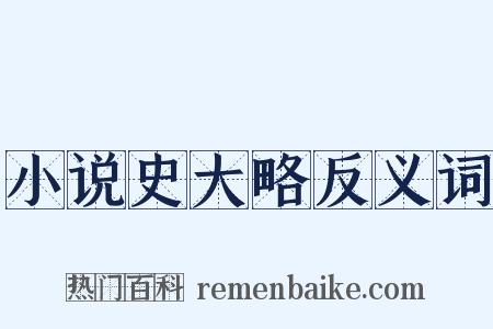 小说史大略反义词是什么意思的图片